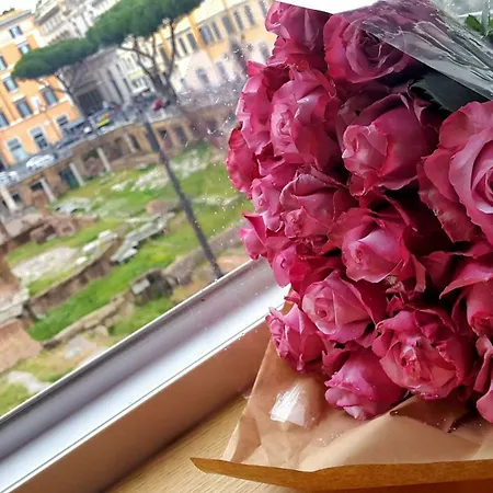 Sun Luxury Pantheon Pensjonat