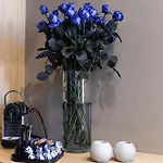サン スイート ラグジュアリー パンテオン ゲストハウス